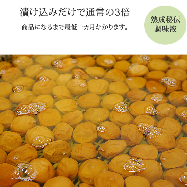 �⡼�ĥ���Ȥ�İ�����ʤ�������ʾ��Ҥ����ߤޤ���